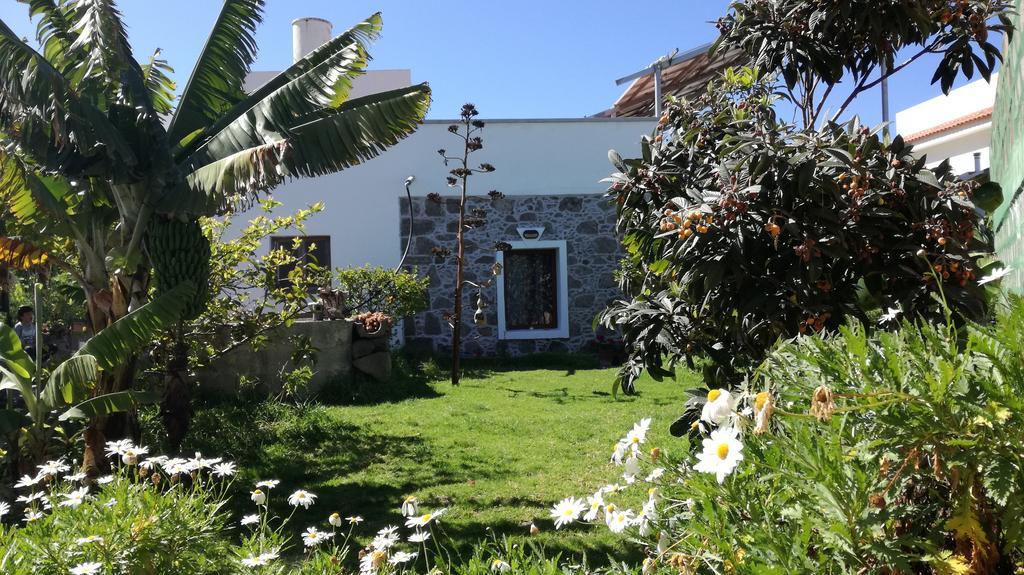 Santa Maria de Guia de Gran Canaria Villa Canaria Piscina Jacuzzi Jardin מראה חיצוני תמונה