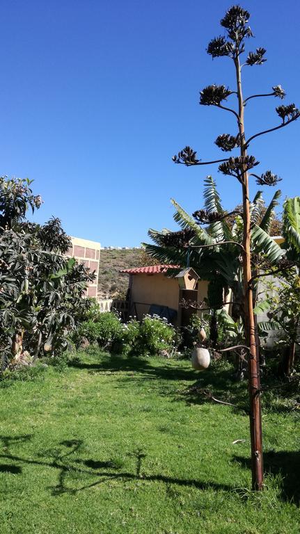 Santa Maria de Guia de Gran Canaria Villa Canaria Piscina Jacuzzi Jardin מראה חיצוני תמונה