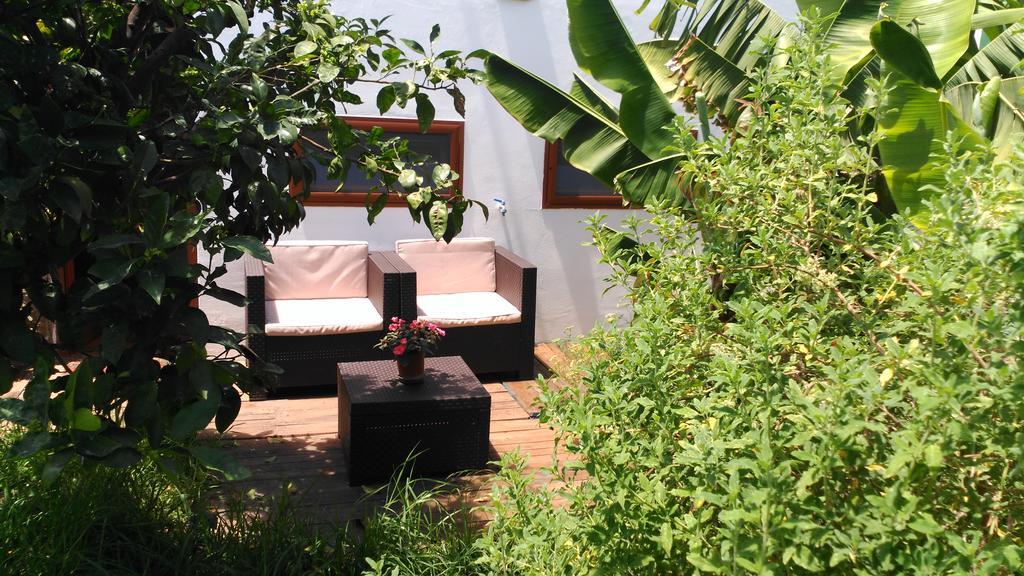Santa Maria de Guia de Gran Canaria Villa Canaria Piscina Jacuzzi Jardin מראה חיצוני תמונה