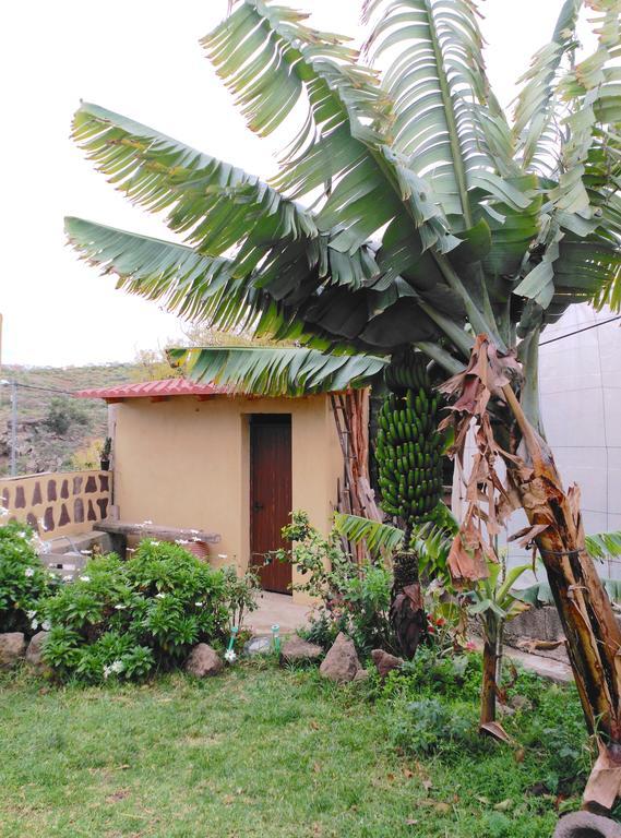 Santa Maria de Guia de Gran Canaria Villa Canaria Piscina Jacuzzi Jardin מראה חיצוני תמונה
