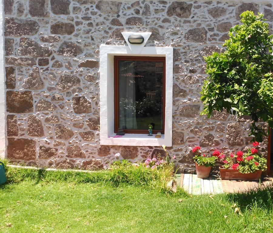 Santa Maria de Guia de Gran Canaria Villa Canaria Piscina Jacuzzi Jardin מראה חיצוני תמונה