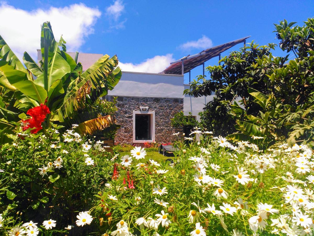 Santa Maria de Guia de Gran Canaria Villa Canaria Piscina Jacuzzi Jardin מראה חיצוני תמונה