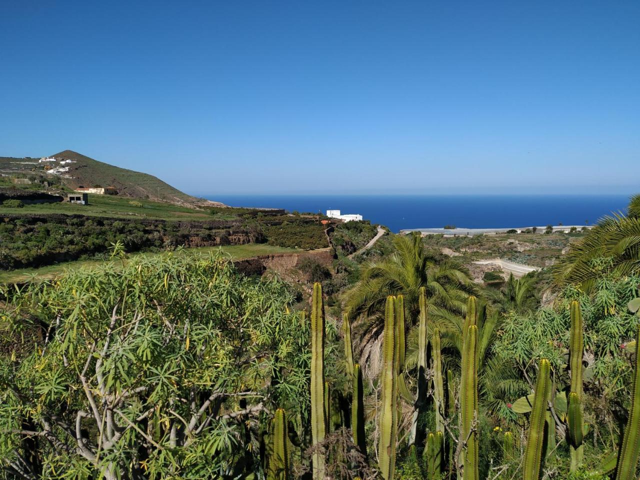 Santa Maria de Guia de Gran Canaria Villa Canaria Piscina Jacuzzi Jardin מראה חיצוני תמונה